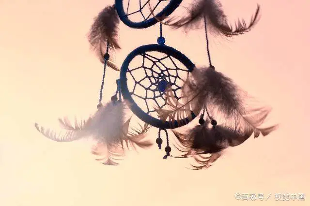 梦境交织，狗咬与虾捕——解析梦中奇遇的深层含义