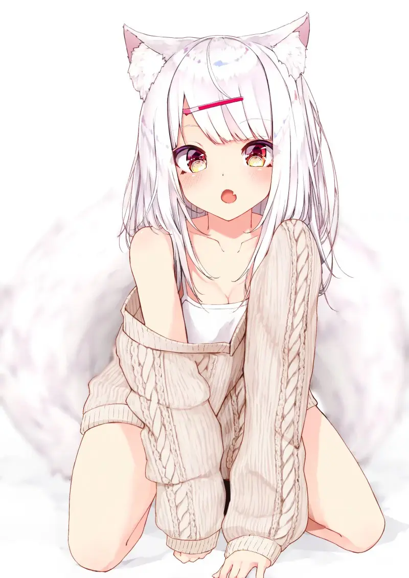 【绘画素材】你绝对不能错过的又欲又萌兽耳美少女来啦