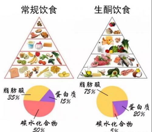 【科普】生酮饮食(ketogenic-diet)