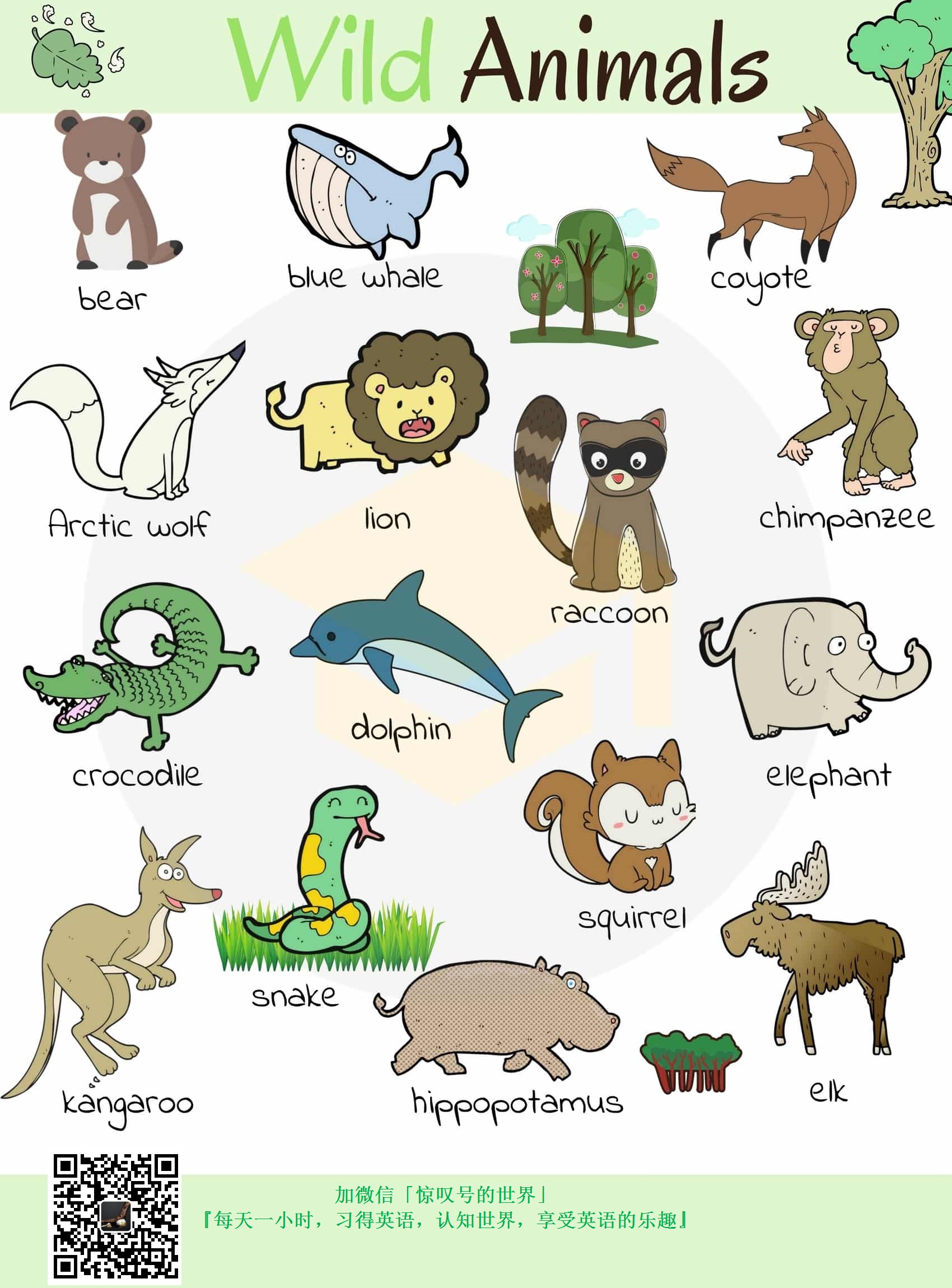 『英语/词汇』009期-野生动物词汇图(wild animals )