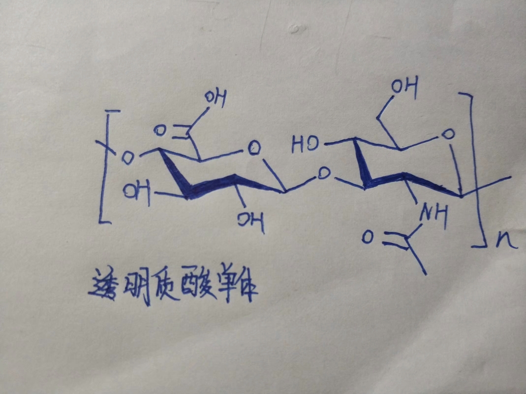 透明质酸单体