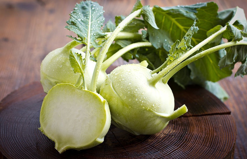 csm_kohlrabi-5-fakten_4ae947251d.jpg