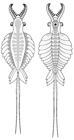 287bc38978764ea7c1215c082634d002f915184e.png