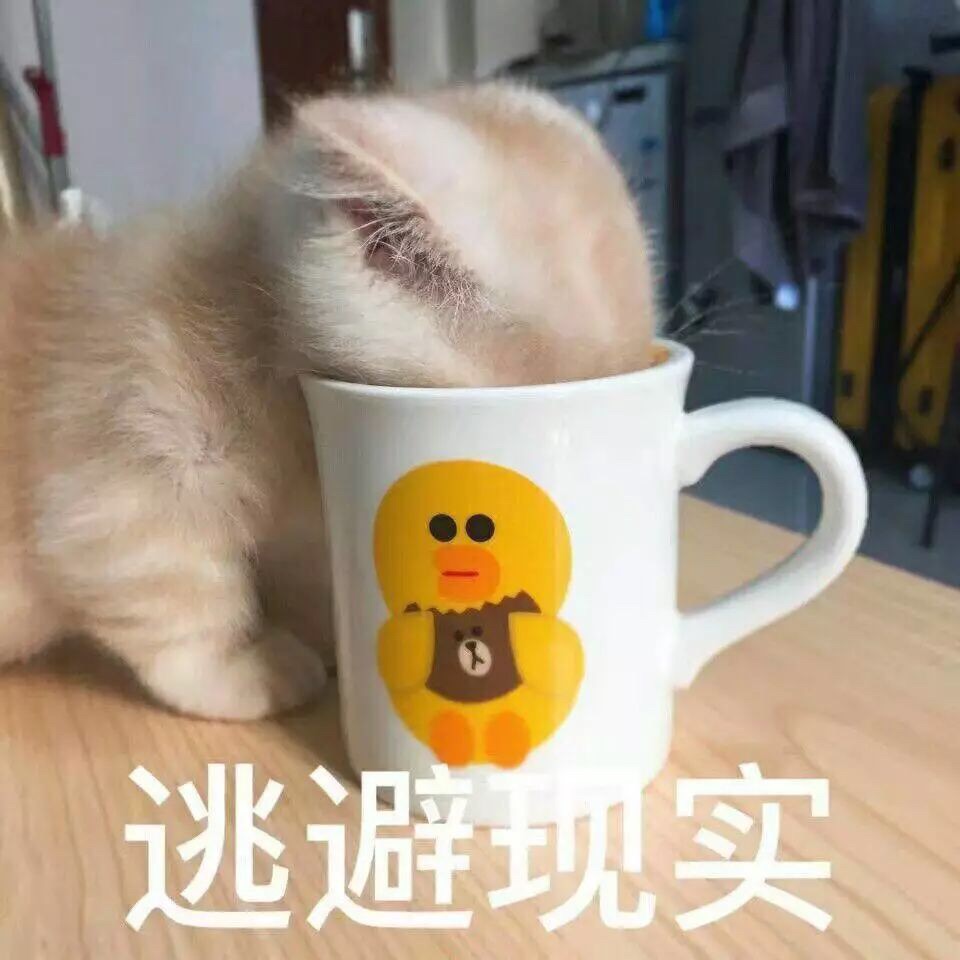 生活终于要对我这只小猫咪动手了
