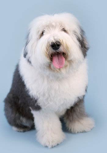 开元棋牌- 开元棋牌官网 - 开元棋牌APP下载2024年电影上映时间表出炉（多部大片等你来看）