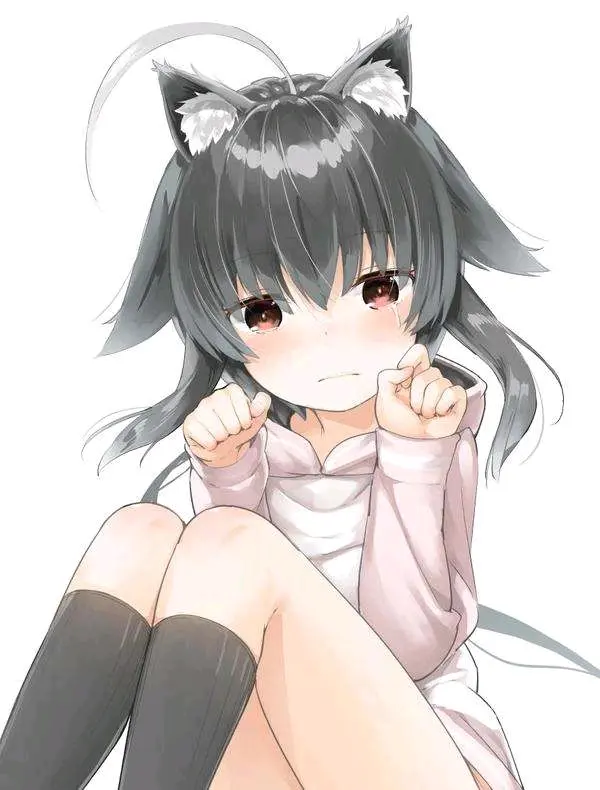 【美图分享】猫娘系列（一）