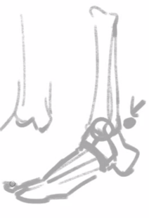 294cb4d072b6b6fd4fb679815bf025ef038e98de.png