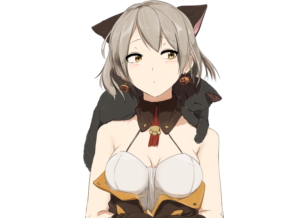少女前线 vector 专辑