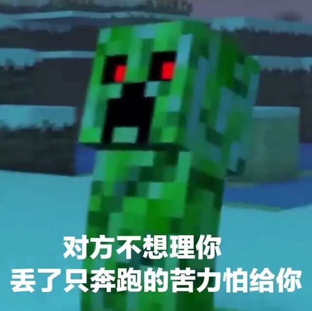 我的世界表情包第十一集
