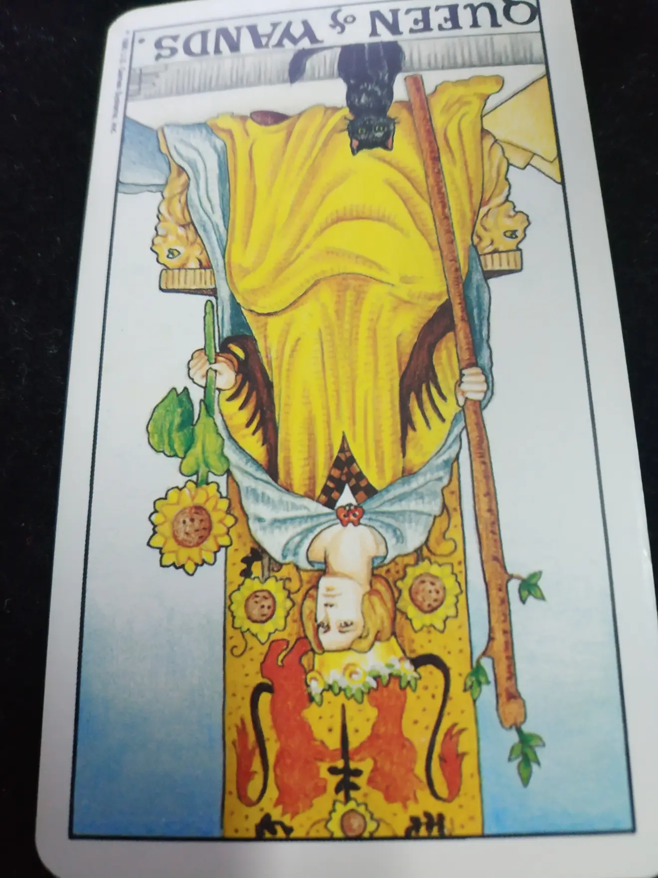 既然你抽到的是“逆位的权杖皇后 ”，那说明目前对于你来说，你是已经