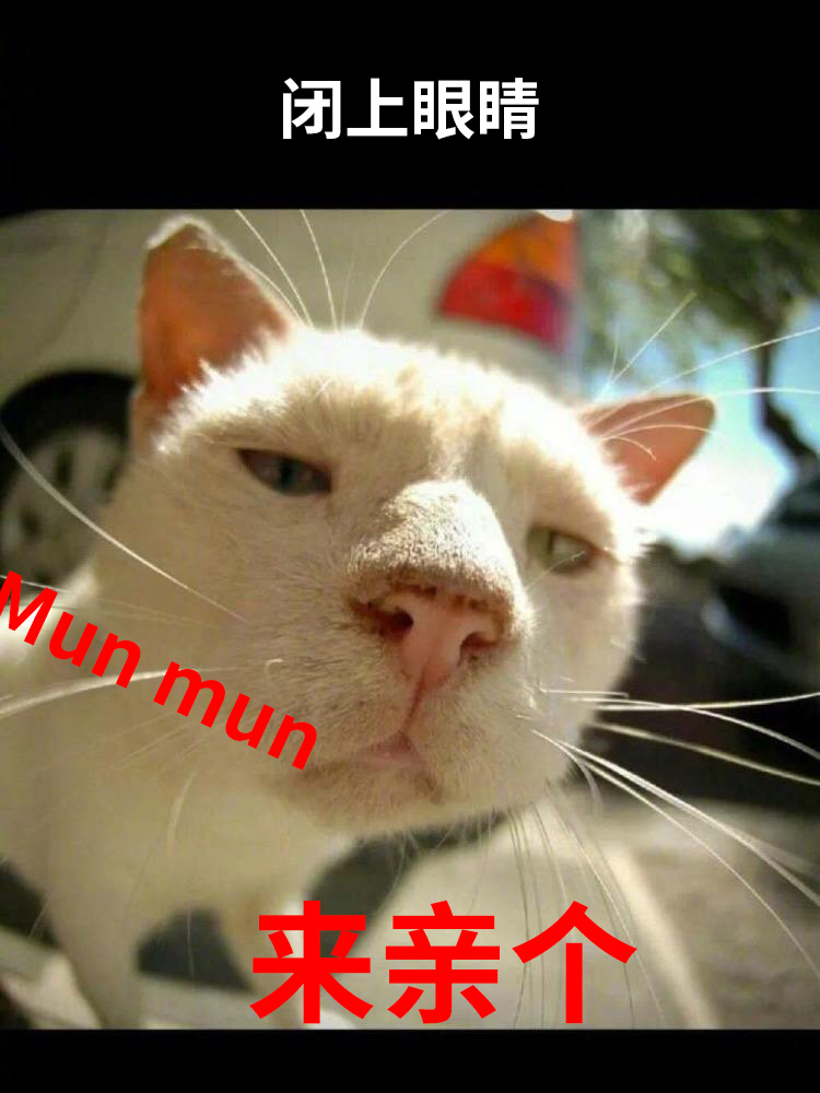 你不要过来呀——