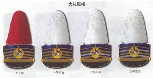 北洋政府时期的大礼服帽样图,注意北洋的帽徽五色排列顺序