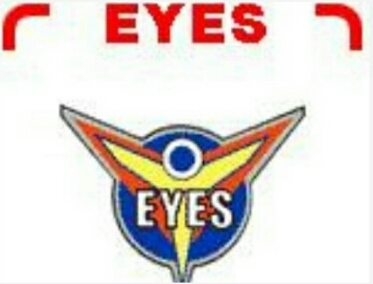 eyes队徽