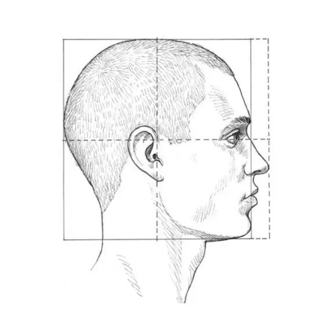 素描头部和表情的学习,满满干货