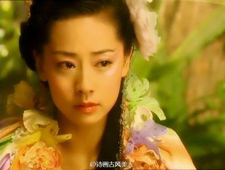 张茜 的彩蝶