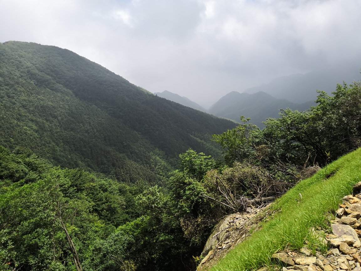 旅游专题涟源龙山林场自驾游记!(龙山国家森林公园)