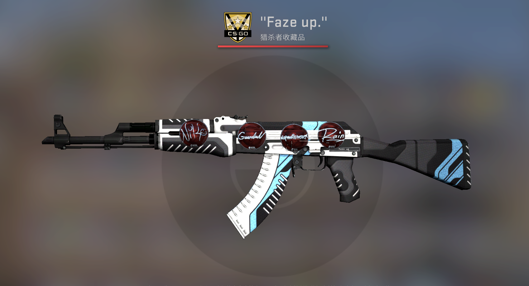 csgo饰品选枪枪看这