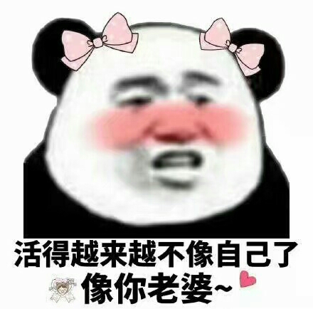 图源网络,图源网络