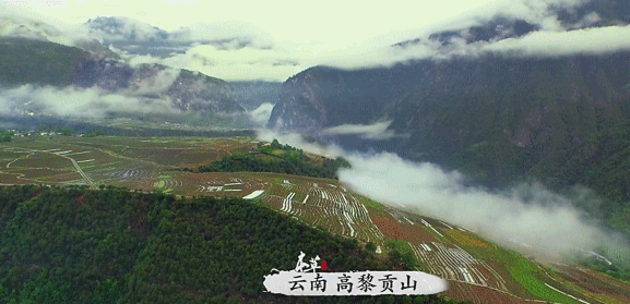 来自云南青藏高原的古法高山红糖,优雅又甜美,拯救低血糖的你