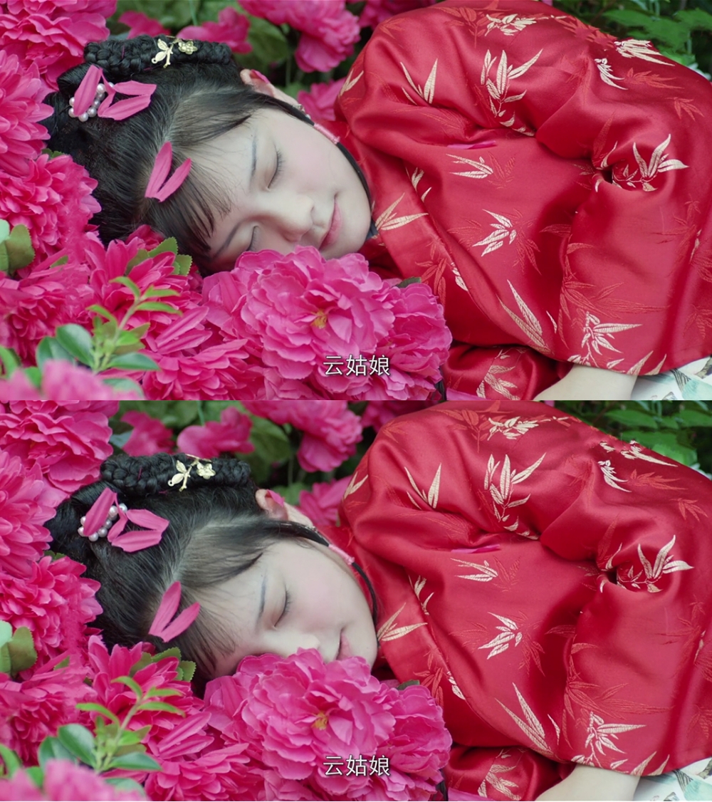 【小戏骨红楼梦】美人如花隔云端
