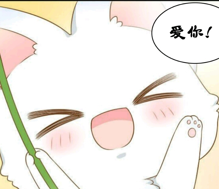 分享一波萌萌哒小狐狸的表情包 萌图