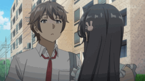 第四卷青春猪头少年不会梦到恋姊俏偶像 第一章sitster panic(姐妹