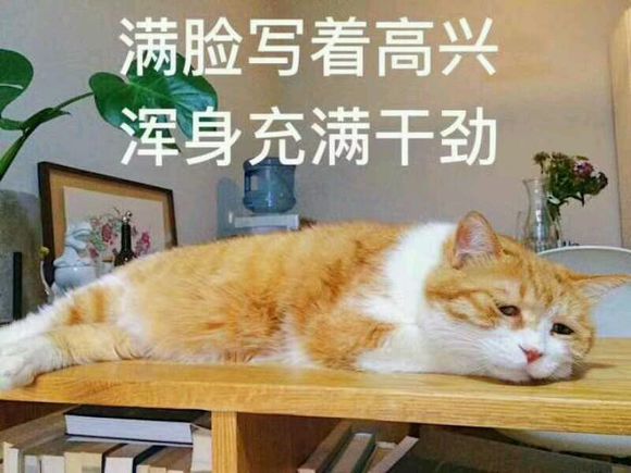 当背单词遇上表情包(夭寿啦我竟然在b站背单词之哈利波特与词根词缀)