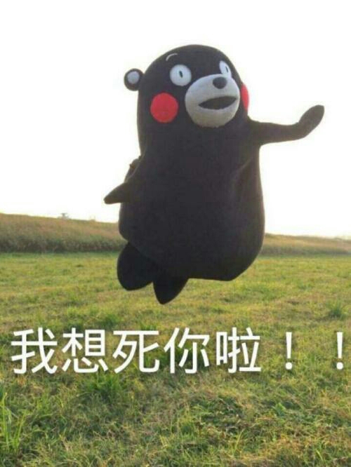 熊本熊表情包,缺表情的开来呀!