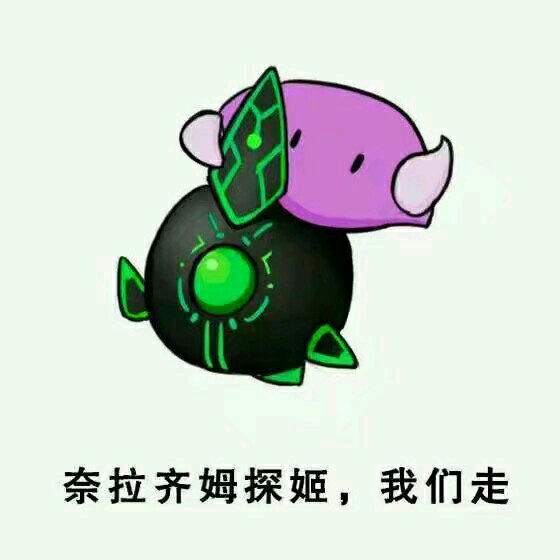 探姬源于星际玩家对探机的称呼. 目前已沦为才子英雄.