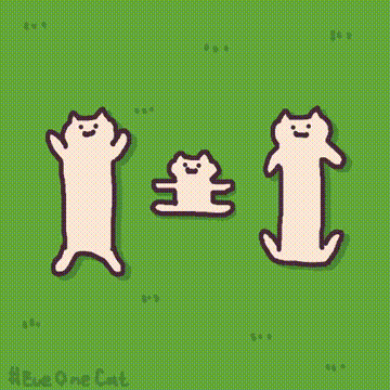 everyone cat[日本沙雕猫动图]