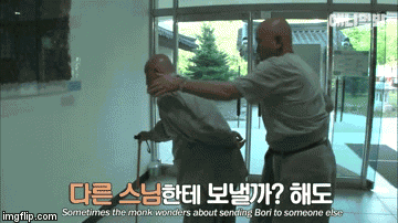 超黏人松鼠惹网友大呼: