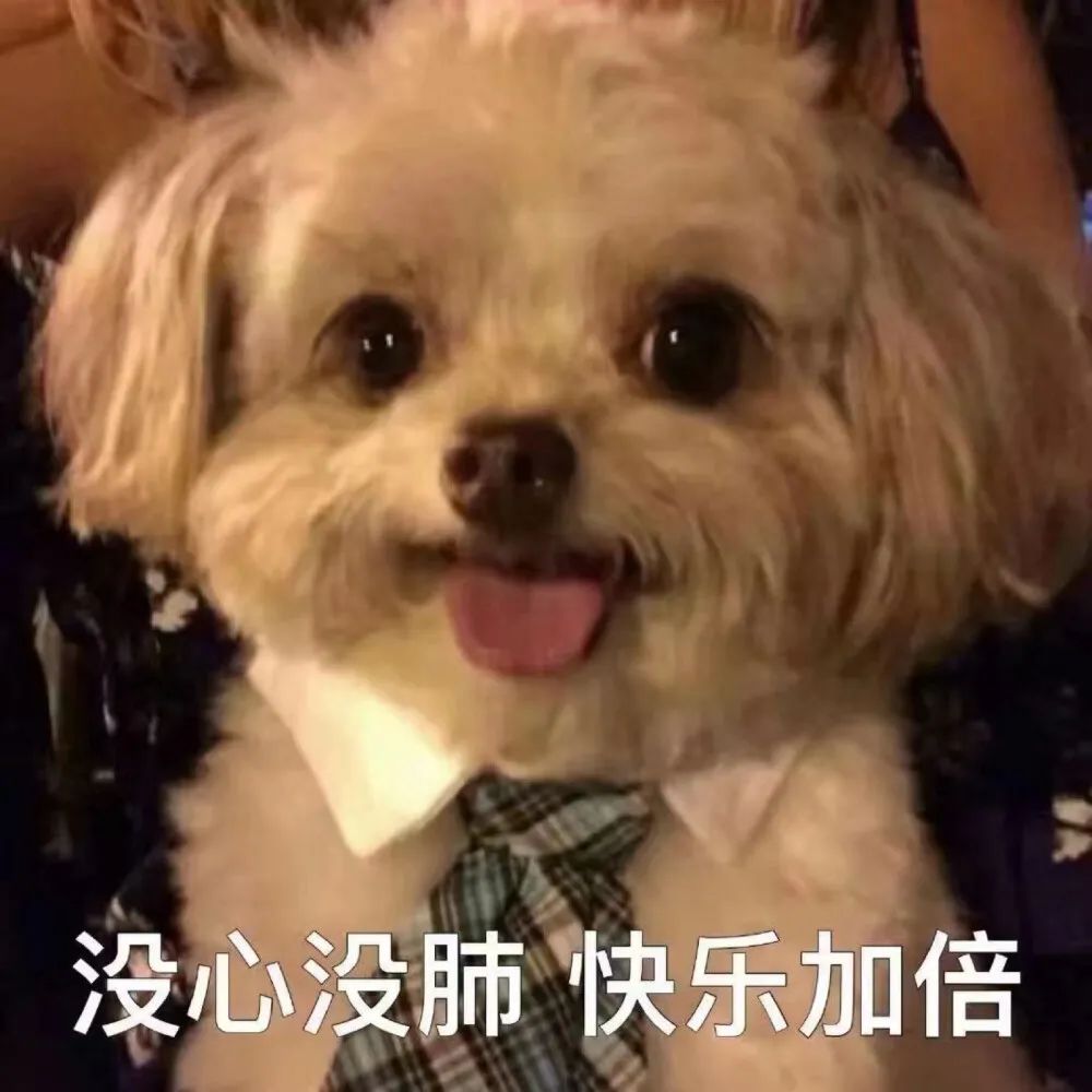 表情包狗狗萌宠沙雕系列