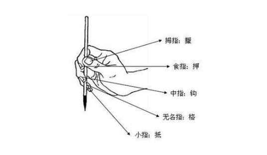 学习毛笔书法重要的握笔姿势推荐给大家