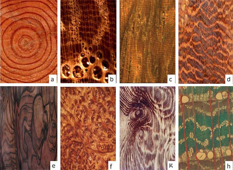 ▼木材表面花纹图案