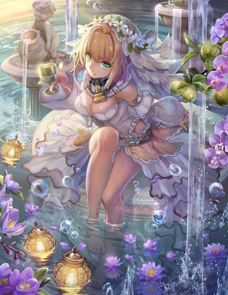 fgo第十七期美图花嫁尼禄