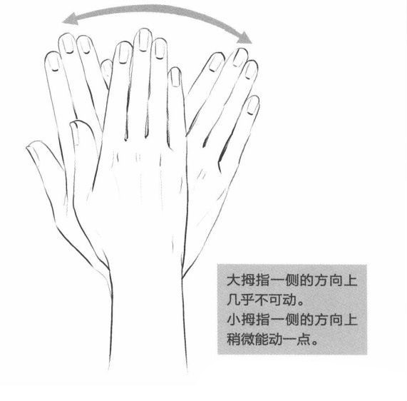 2fede50766a96e15c31d16580ad60a11b22cc544.jpg