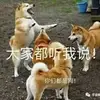 饕餮