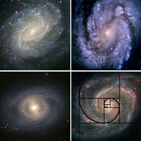 【科普】简单了解生活中常见的比例关系