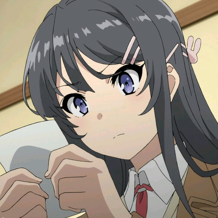 《青春猪头少年不会梦到兔女郎学姐》樱岛麻衣自截头像