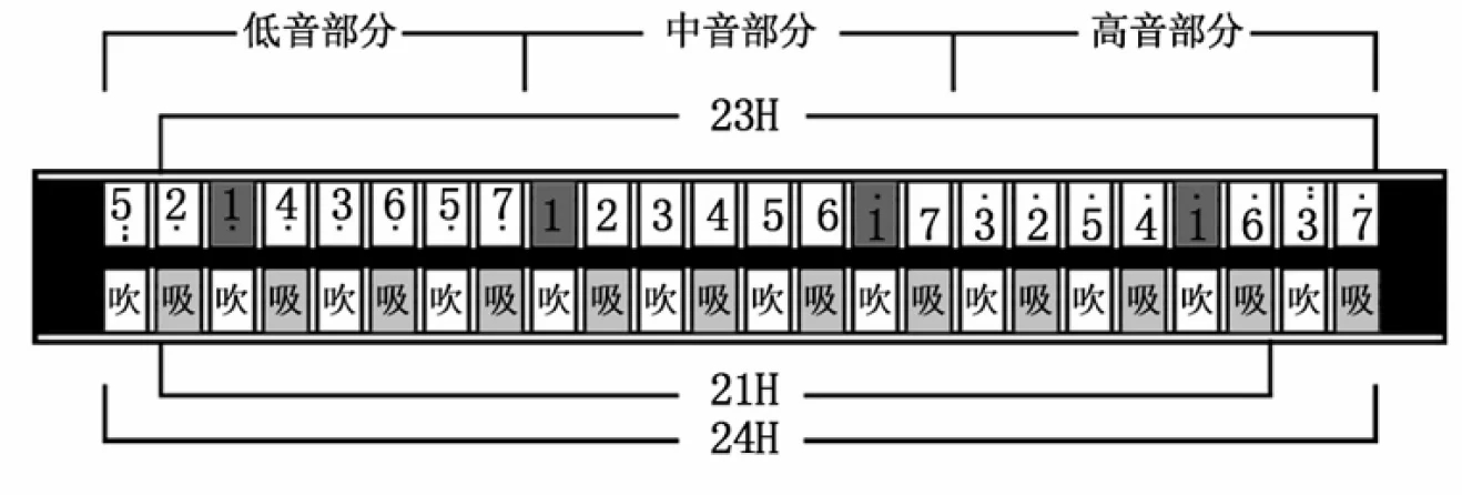 通过下图我们可以得知,大调24孔口琴低音部分的大三和弦其实并不