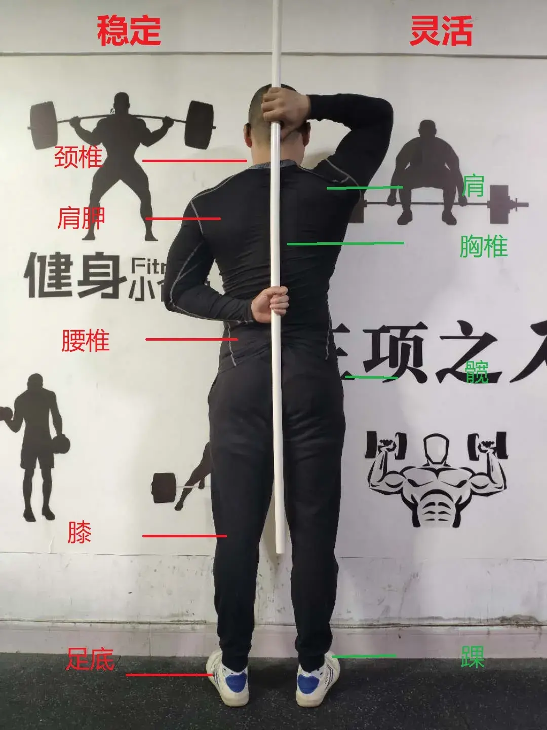 力量训练的本质(2):别人都关心你举多重,只有老杨关心你多稳
