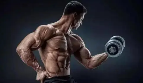 怎么样减肥才能有肌肉 319281924402ba38944527da7f46ebbbede2ac86.png