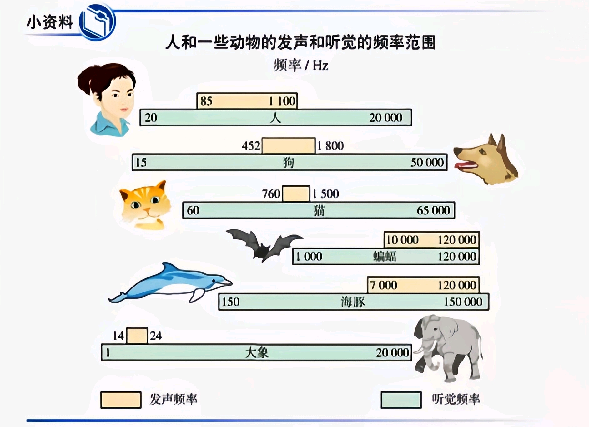 频率决定声音的音调,频率高则音调高.