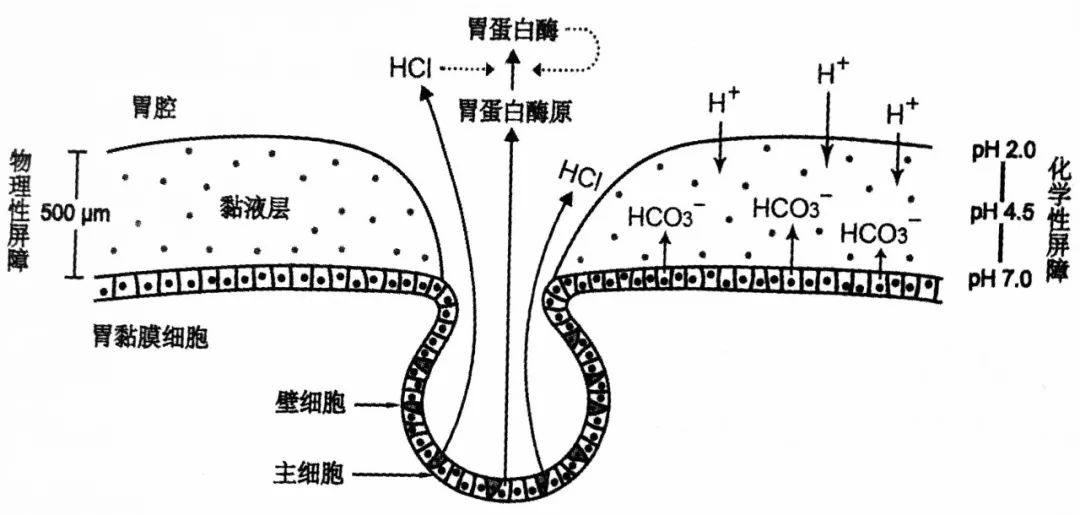 31df64ab4f7c442edc0b478c1c94a8c9542c8b5c.jpg