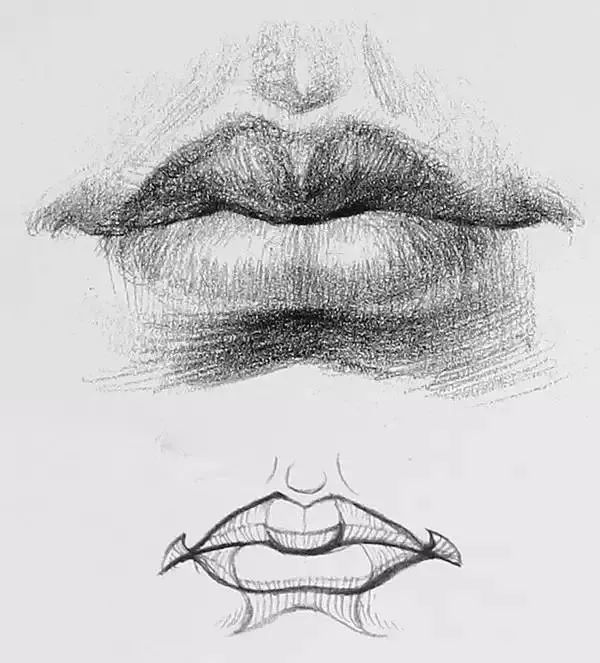 下嘴唇从横向和纵向来说都可以各自分为三个面,表现时不能抄袭调子而
