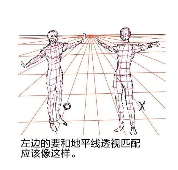 【板绘素材】人体透视的学习教程,可以让你了解掌握新