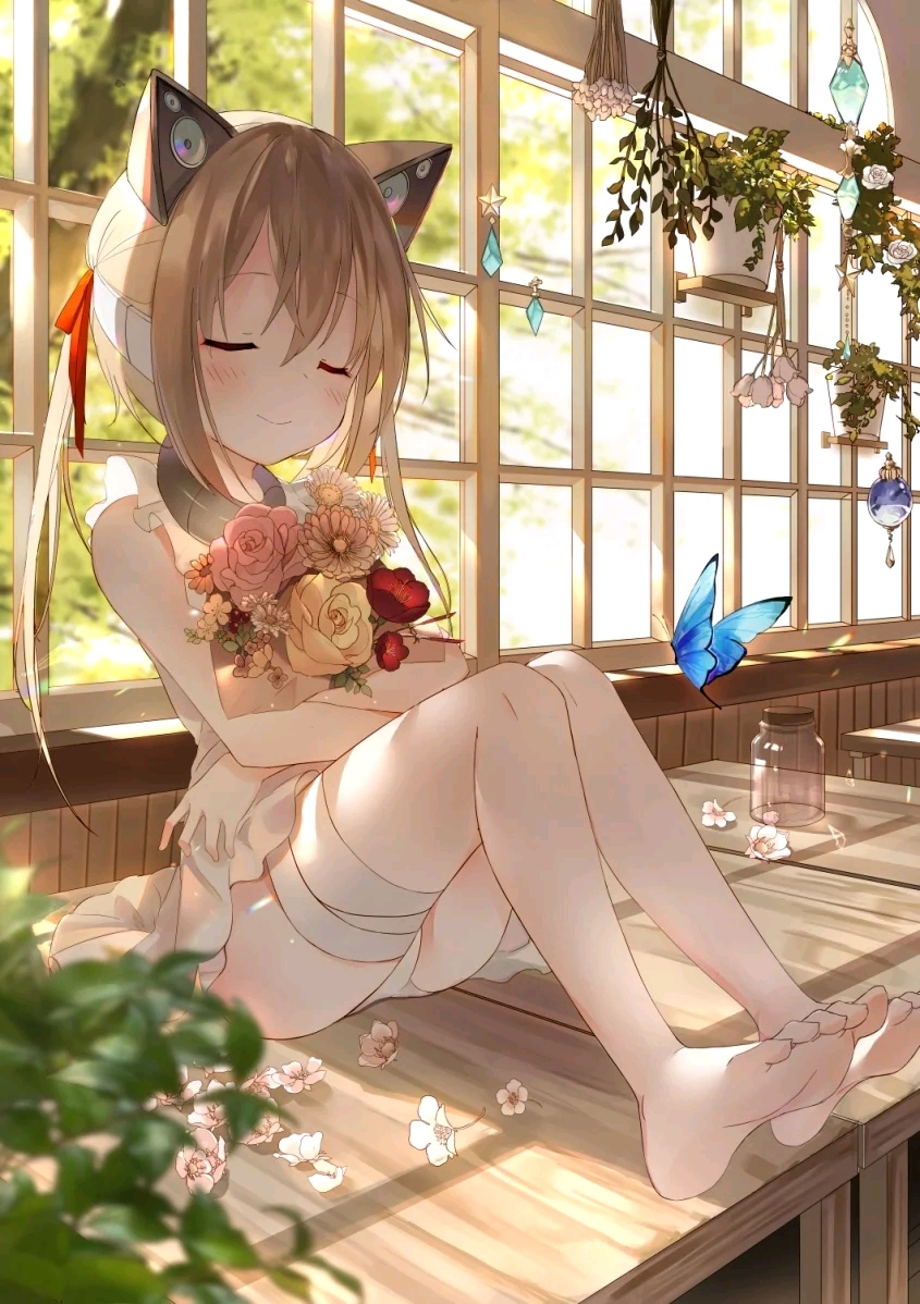 黑,白,丝,过膝袜,超可爱二次元美少女,萌,二次元【第二十一期】