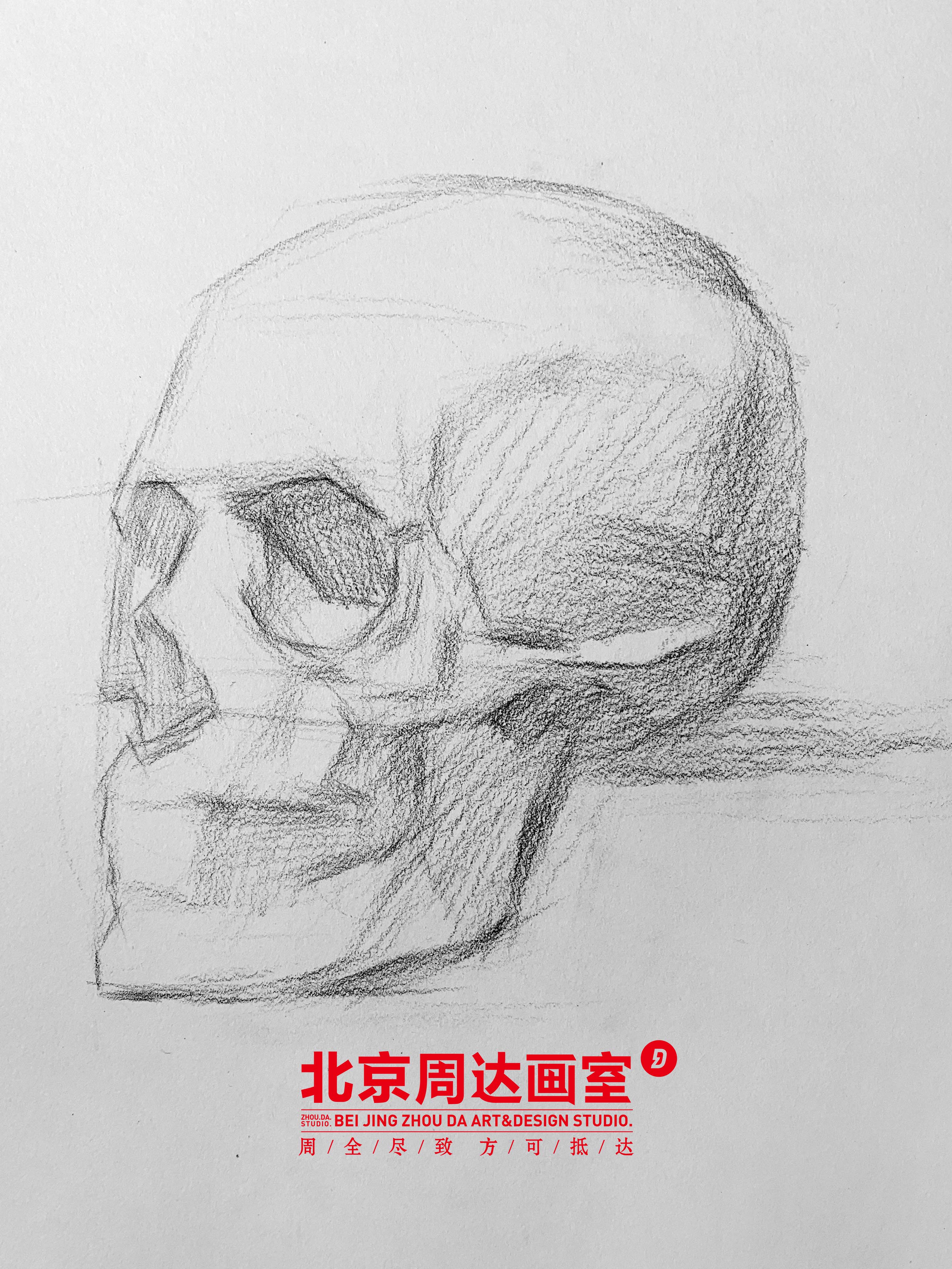 素描头骨解析示范步骤