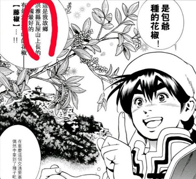 中华小当家刘昂星的家乡他生活在四川这个城市
