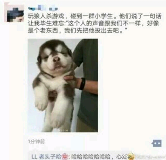 微信朋友圈搞笑合集